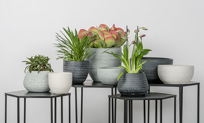 Armano Home And Garden Collections