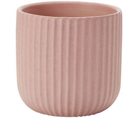 Rud Lauri Rosa