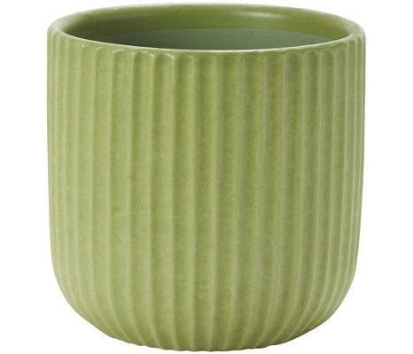Rud Lauri apple green