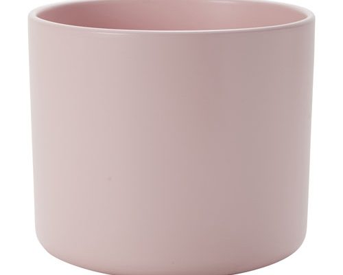 Rud Lena pastel rose