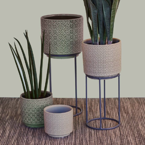 Philipp Stands & Nayla Pots