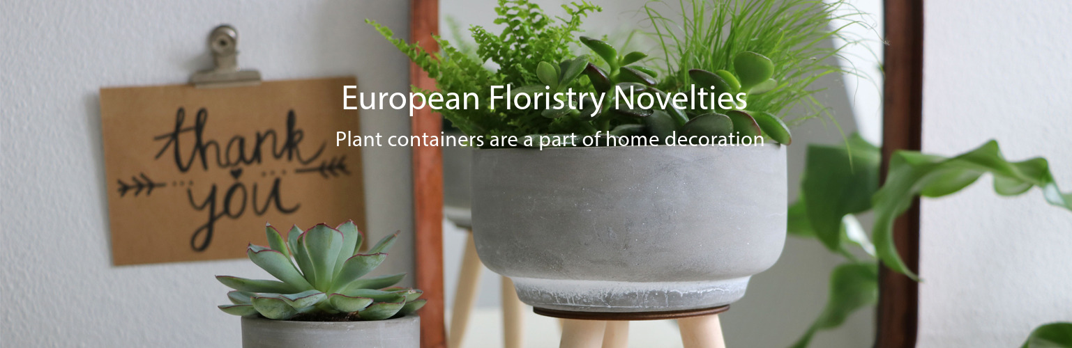 European floristry novelties, plant containers are a part of home decoration