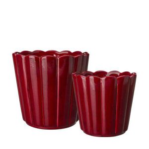 Edna Pot